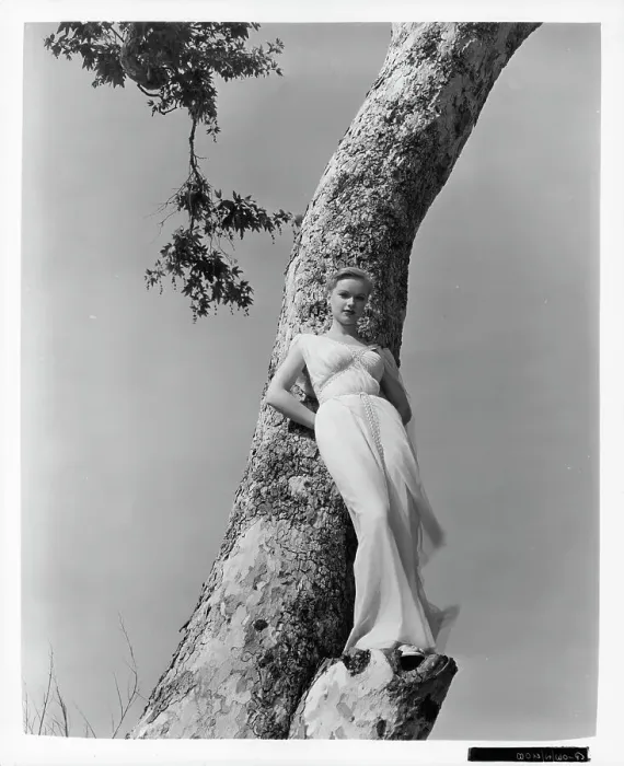 Framed Print : Anne Francis Framed Print : Anne Francis