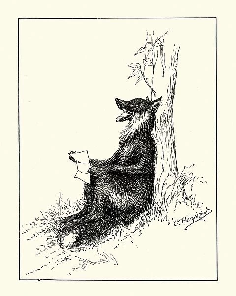 Anthropomorphism - Fox reading a letter