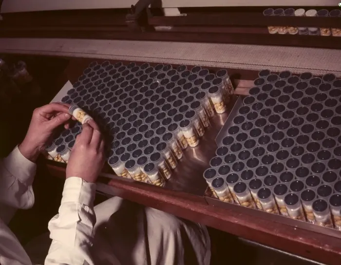 Framed Print : Antibiotics Bottling Framed Print : Antibiotics Bottling
