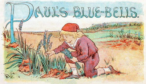 Antique children book illustrations: Harvesting bluebells