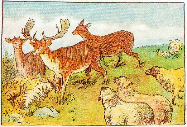 Antique children book illustrations: Deer and sheep