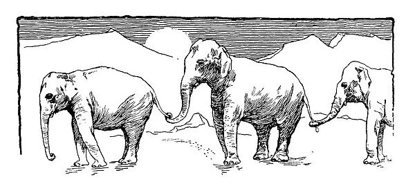 Antique childrens book comic illustration: elephants
