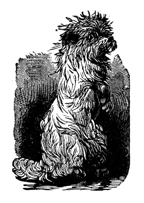 Framed Print : Antique childrens book comic illustration: dog