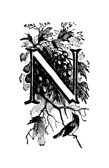 Framed Print : Antique childrens book comic illustration: Ornate letter N Framed Print : Antique childrens book comic illustration: Ornate letter N