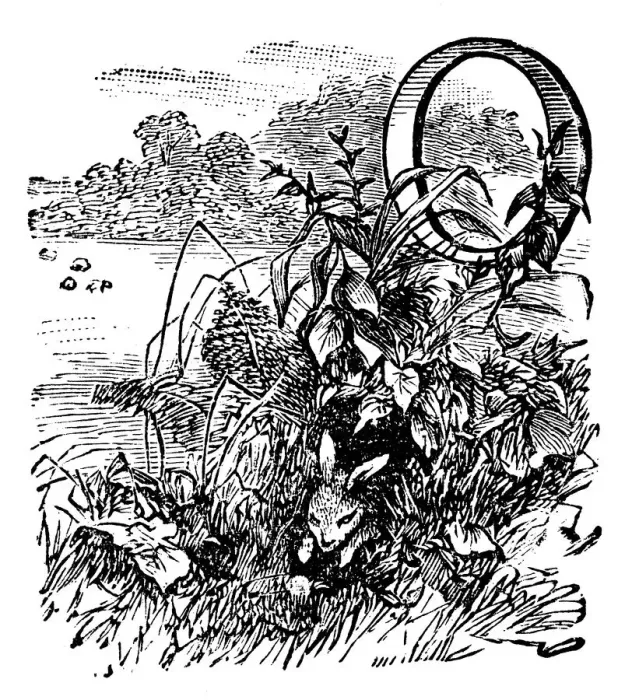 Framed Print : Antique childrens book comic illustration: Ornate letter O Framed Print : Antique childrens book comic illustration: Ornate letter O