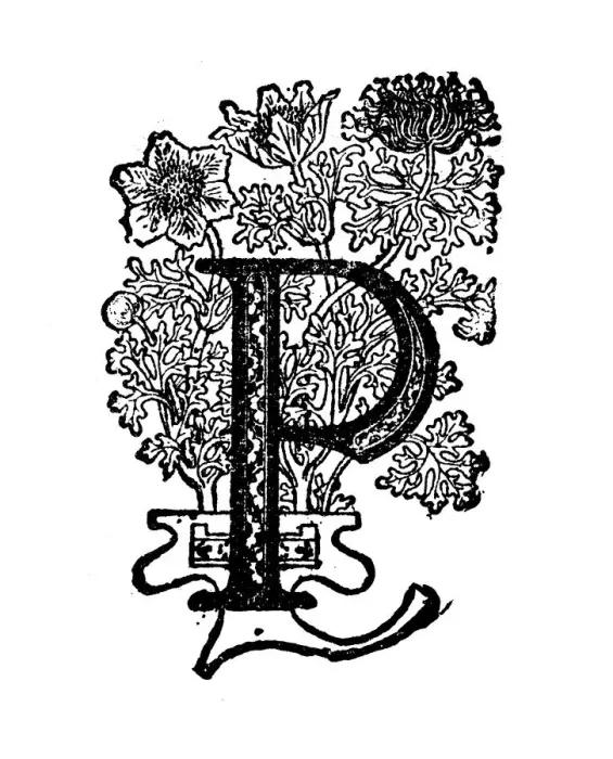 Framed Print : Antique childrens book comic illustration: Ornate letter P Framed Print : Antique childrens book comic illustration: Ornate letter P