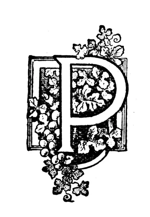Framed Print : Antique childrens book comic illustration: Ornate letter P