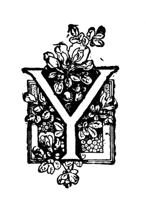 Framed Print : Antique childrens book comic illustration: Ornate letter Y Framed Print : Antique childrens book comic illustration: Ornate letter Y