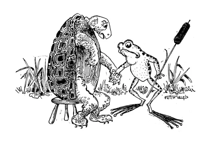 Framed Print : Antique childrens book comic illustration: turtle and frog Framed Print : Antique childrens book comic illustration: turtle and frog