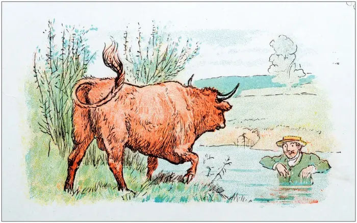 Framed Print : Antique color illustration by Randolph Caldecott: Man attacked by bull Framed Print : Antique color illustration by Randolph Caldecott: Man attacked by bull