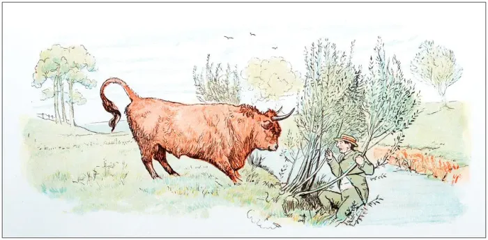 Framed Print : Antique color illustration by Randolph Caldecott: Man attacked by bull Framed Print : Antique color illustration by Randolph Caldecott: Man attacked by bull