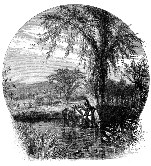 Framed Print : Antique illustration of fields and White Mountains (New Hampshire) Framed Print : Antique illustration of fields and White Mountains (New Hampshire)