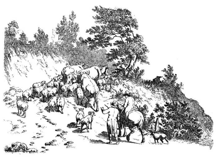 Framed Print : Antique illustration of flock climbing uphill Framed Print : Antique illustration of flock climbing uphill
