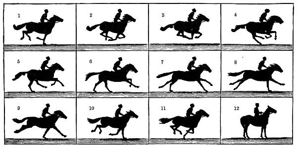 Antique illustration of horse in motion