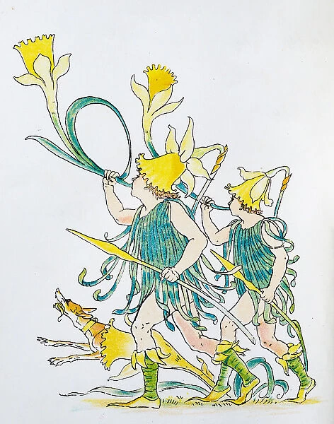 Antique illustration of humanized flowers and plants: Daffodils