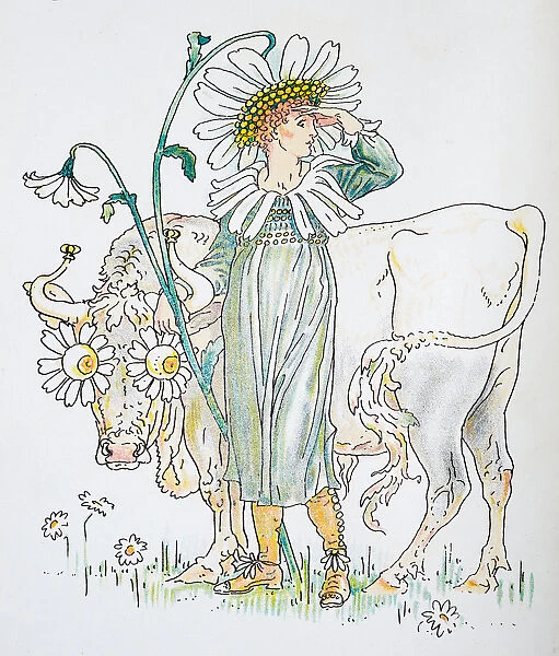 Antique illustration of humanized flowers and plants: Oxeye daisy