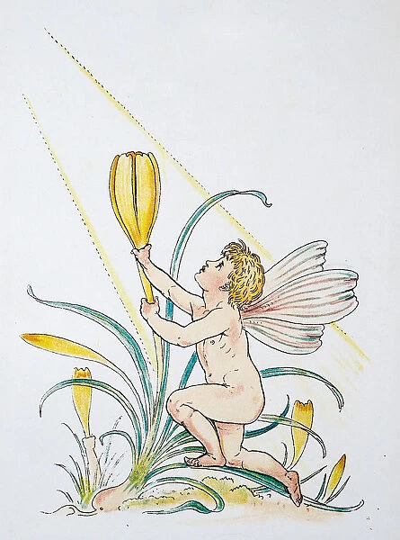 Antique illustration of humanized flowers and plants: Crocus