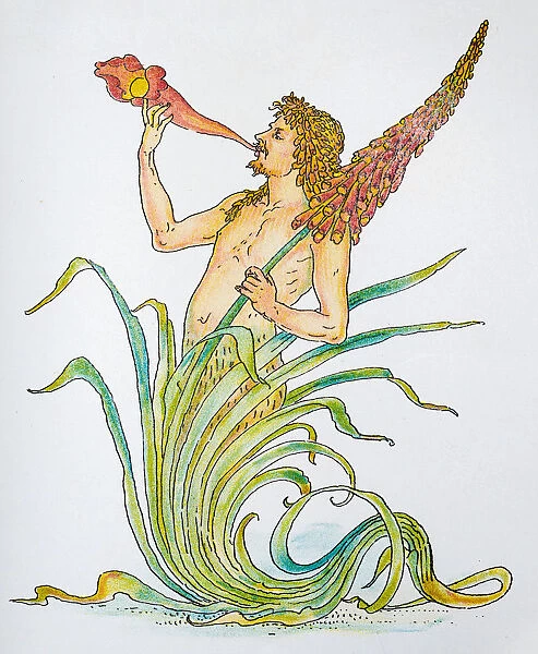 Antique illustration of humanized flowers and plants: Triton spear flower