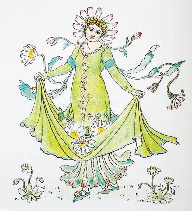 Framed Print : Antique illustration of humanized flowers and plants: Daisy