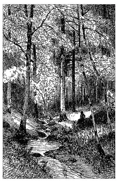 Antique illustration of inside the forest