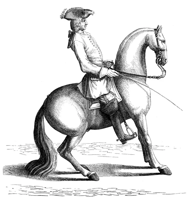 Framed Print : Antique illustration of man riding horse Framed Print : Antique illustration of man riding horse
