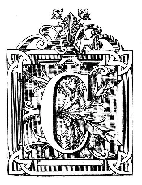 Antique illustration of ornate letter C, with geometrical, vegetal motifs