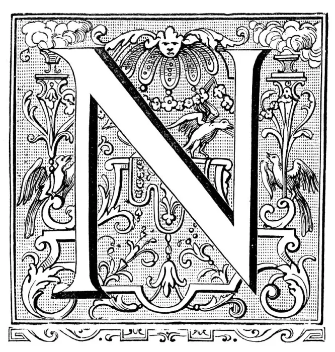 Framed Print : Antique illustration of ornate letter N