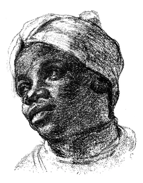 Framed Print : Antique illustration of portrait of black woman Framed Print : Antique illustration of portrait of black woman