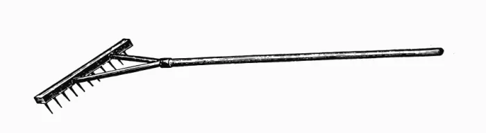 Framed Print : Rake. Antique illustration of a rake