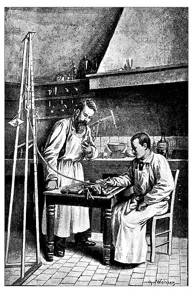 Antique illustration of veterinary surgery experiment on rabbit