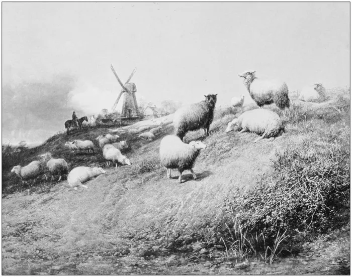 Framed Print : Antique photo of paintings: Landscape Framed Print : Antique photo of paintings: Landscape