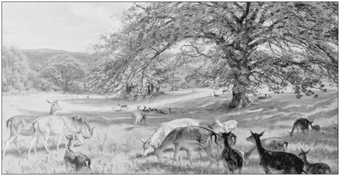 Framed Print : Antique photo of paintings: Landscape Framed Print : Antique photo of paintings: Landscape