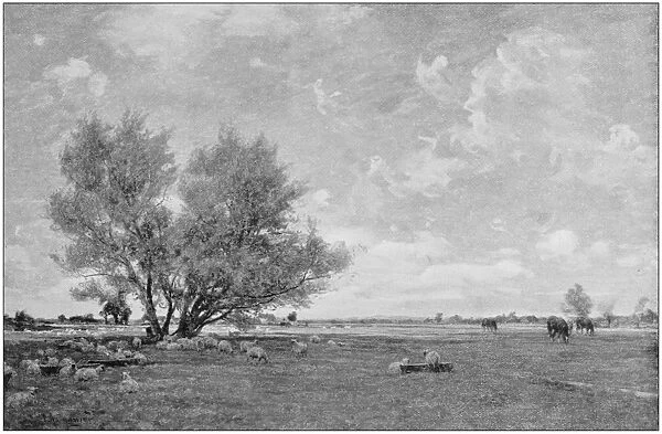 Antique photo of paintings: Landscape