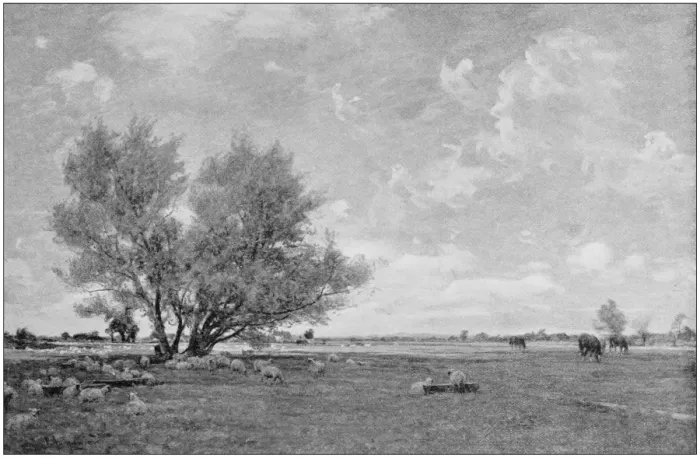 Framed Print : Antique photo of paintings: Landscape Framed Print : Antique photo of paintings: Landscape