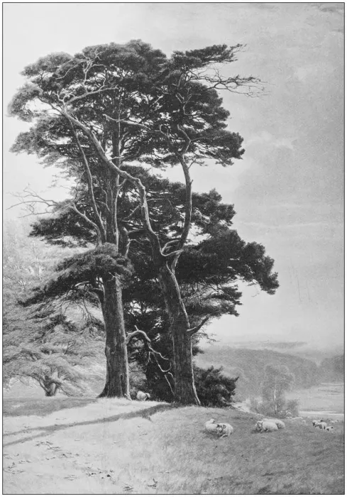 Framed Print : Antique photo of paintings: Landscape Framed Print : Antique photo of paintings: Landscape