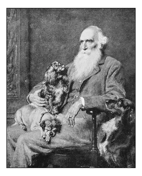 Antique photo of paintings: Man with dogs