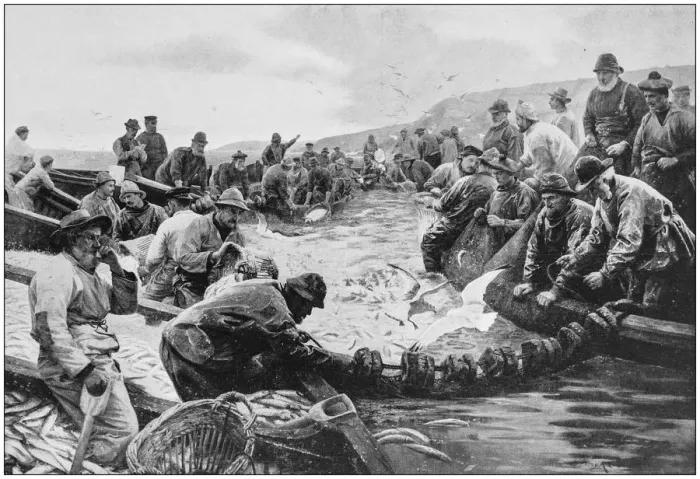 Framed Print : Antique photo of paintings: Pilchards Framed Print : Antique photo of paintings: Pilchards