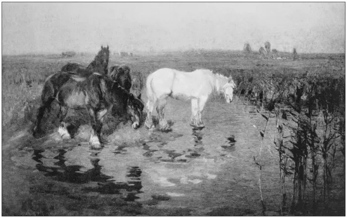 Framed Print : Antique photo of paintings: Wild horses Framed Print : Antique photo of paintings: Wild horses
