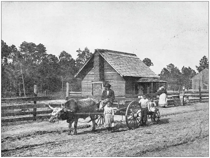 Framed Print : Antique photograph: Farm in south USA Framed Print : Antique photograph: Farm in south USA