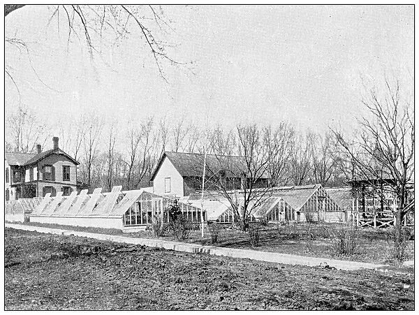 Antique photograph from Lawrence, Kansas, in 1898: Residential building, exterior, greenhouse