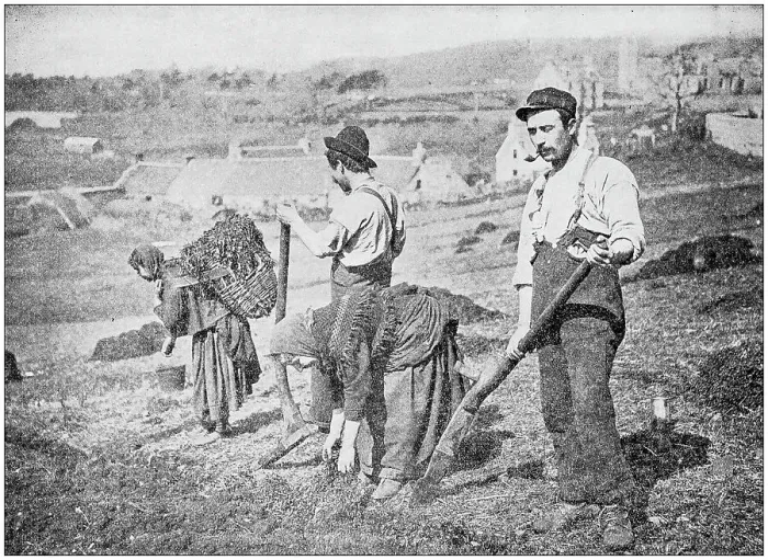 Framed Print : Antique photograph: Planting Potatoes in Skye Framed Print : Antique photograph: Planting Potatoes in Skye