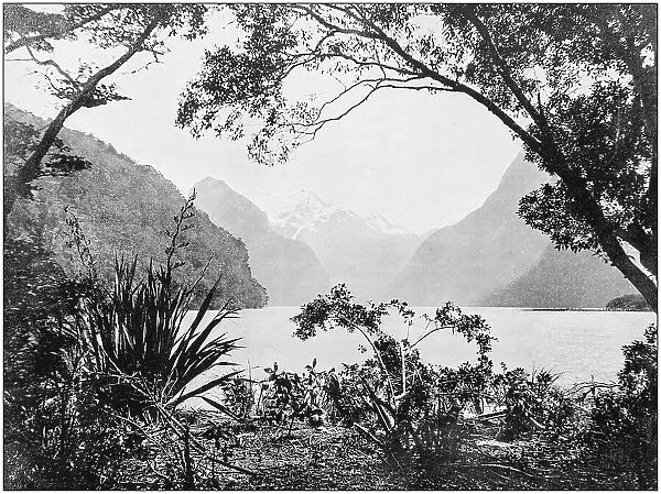 Antique photograph of World's famous sites: Milford Sound
