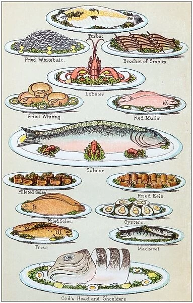 Antique recipes book engraving illustration: Seafood