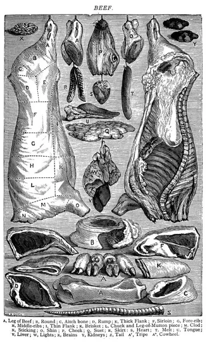 Framed Print : Antique recipes book engraving illustration: Beef Framed Print : Antique recipes book engraving illustration: Beef