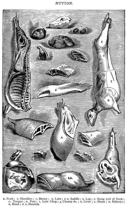 Framed Print : Antique recipes book engraving illustration: Mutton Framed Print : Antique recipes book engraving illustration: Mutton