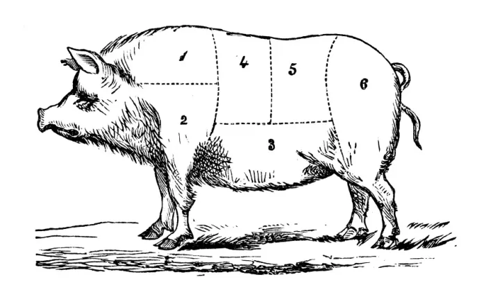 Framed Print : Antique recipes book engraving illustration: Pork sections