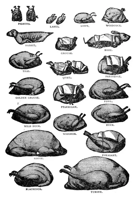 Framed Print : Antique recipes book engraving illustration: Poultry and gamebirds Framed Print : Antique recipes book engraving illustration: Poultry and gamebirds