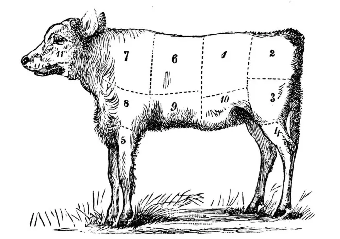 Framed Print : Antique recipes book engraving illustration: Veal sections