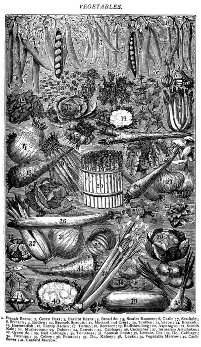 Framed Print : Antique recipes book engraving illustration: Vegetables
