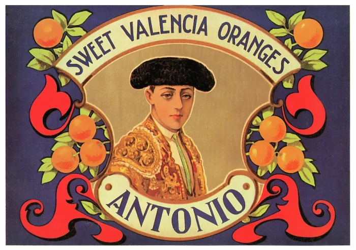 Framed Print : Antonio Sweet Valencia Oranges Framed Print : Antonio Sweet Valencia Oranges